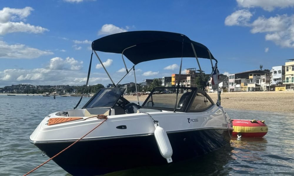 ROSS R190 1.jpg