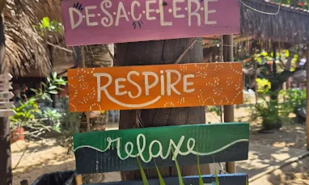 Rest. Manguezal (6)