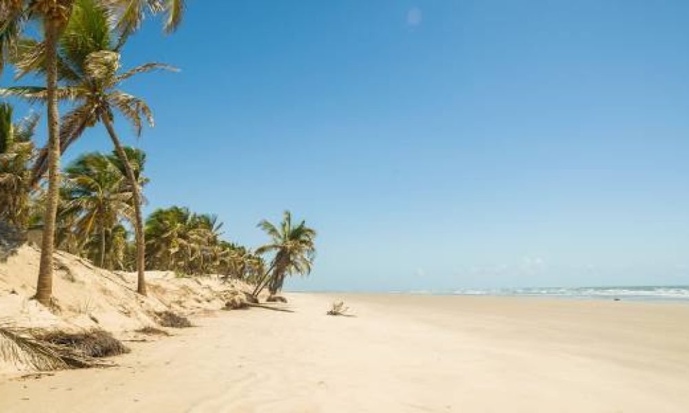 mangue seco (2)