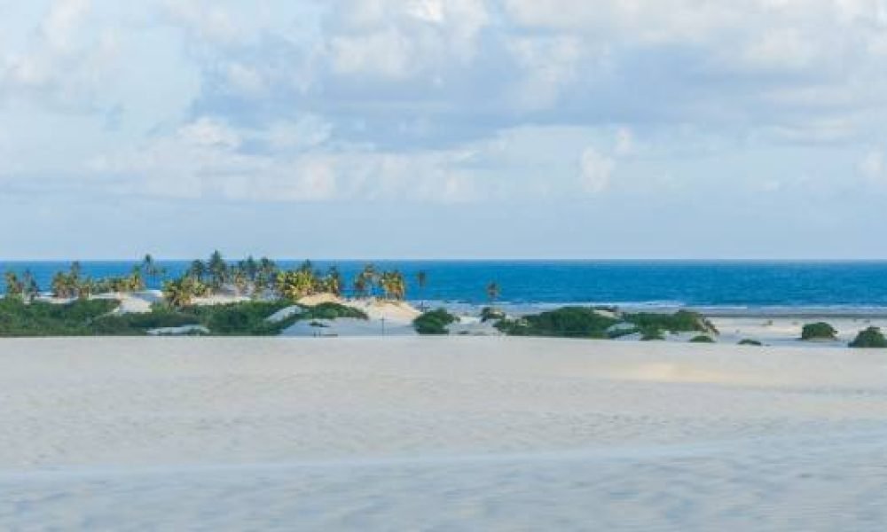 mangue seco (3)