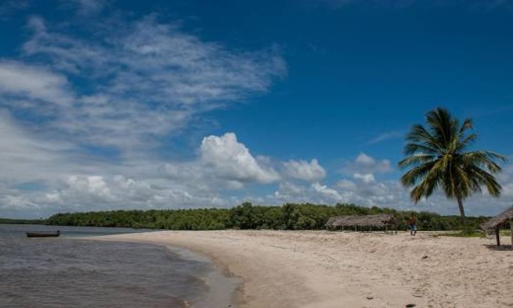mangue seco (4)