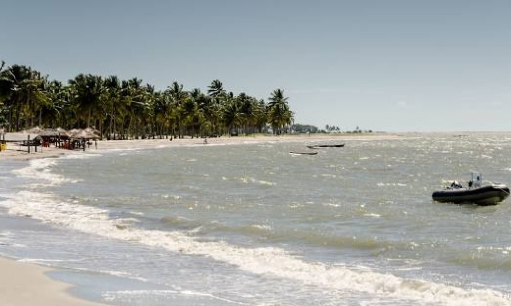 mangue seco (5)