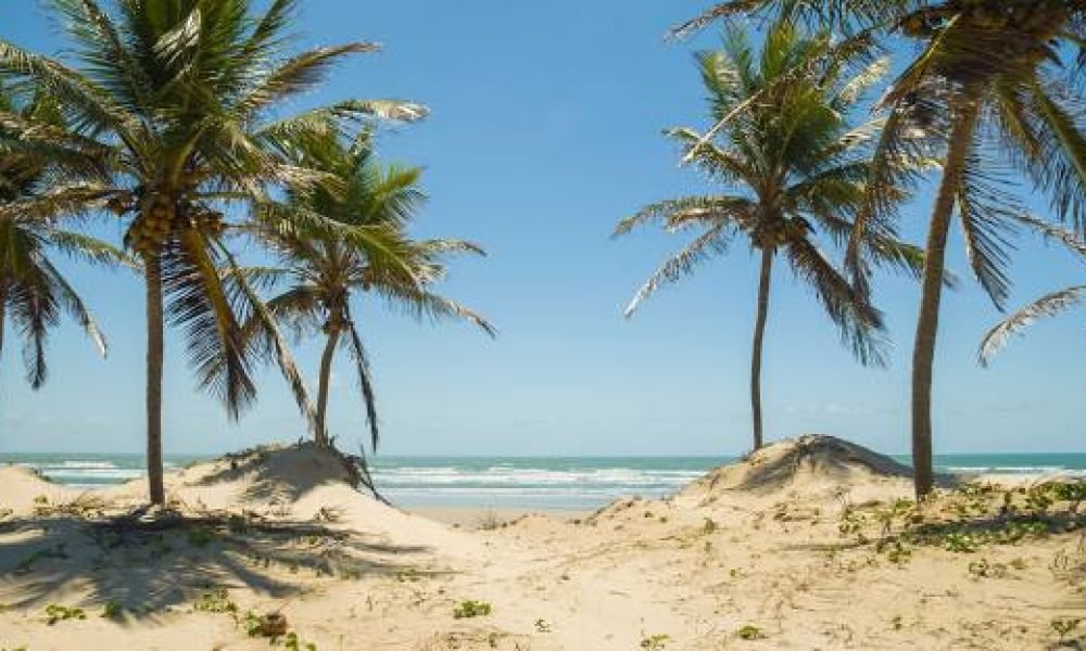 mangue seco (6)